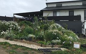 Bob Brown Room Art House